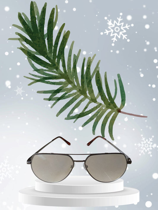 Urban Explorer Grey Aviators